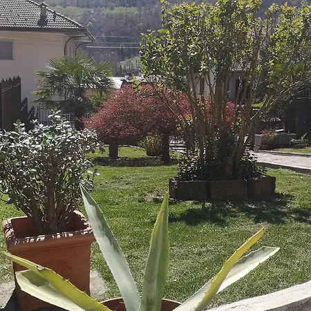 Seraphic Garden