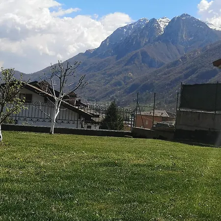 Seraphic Garden Taceno